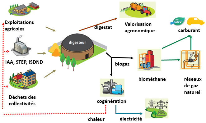 Schéma de la filière méthanisation : les sources d'intrants, le digesteur, les valorisations du digestat et du biogaz