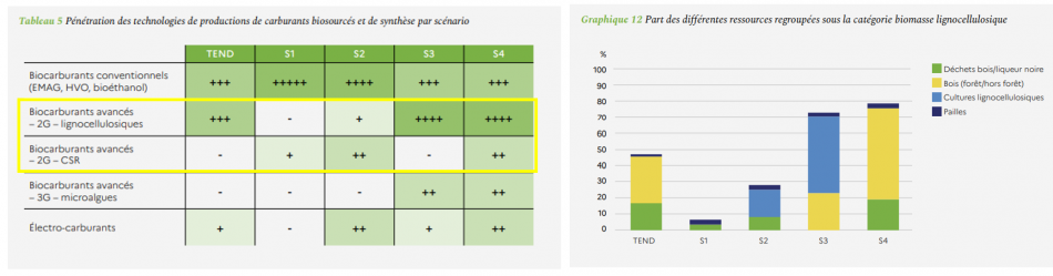 ADEME_biocarburants avancés