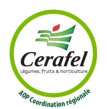 AOP CERAFEL